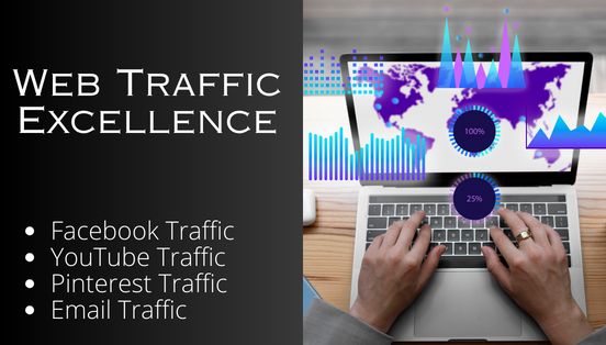 Web Traffic Excellence